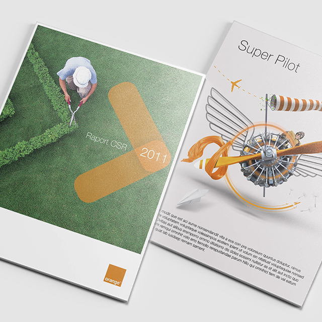 Projekt raportów Orange